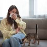 Cat Sneezes Decoded: Signs of Feline Herpes or Chlamydia